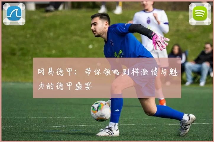 网易德甲：带你领略别样激情与魅力的德甲盛宴