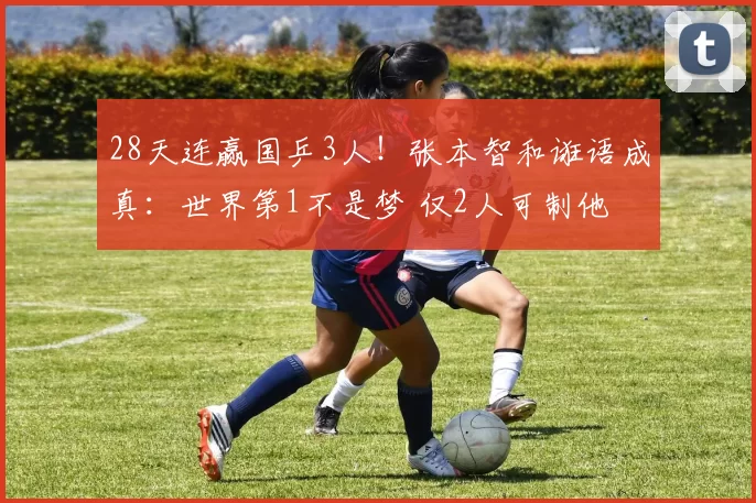 28天连赢国乒3人！张本智和诳语成真：世界第1不是梦 仅2人可制他