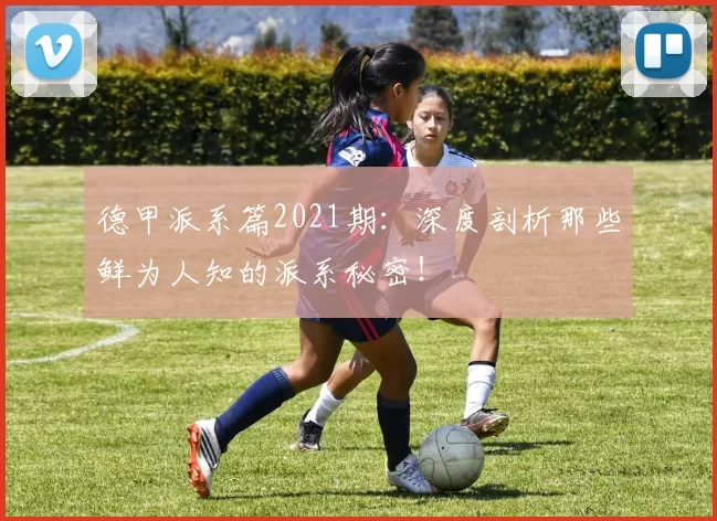 德甲派系篇2021期:深度剖析那些鲜为人知的派系秘密!