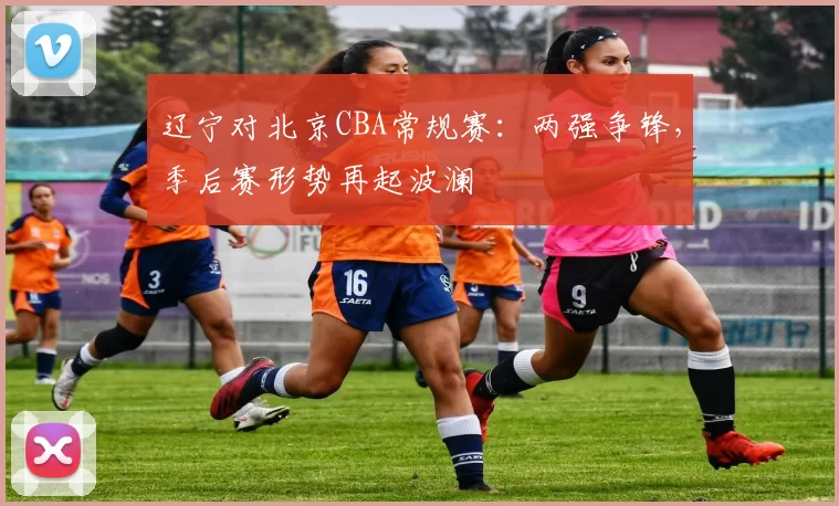 辽宁对北京CBA常规赛:两强争锋,季后赛形势再起波澜