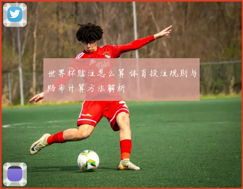 世界杯赌注怎么算 体育投注规则与赔率计算方法解析