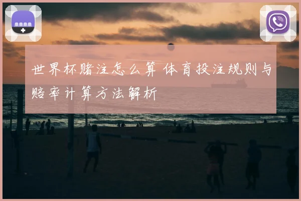 世界杯赌注怎么算 体育投注规则与赔率计算方法解析